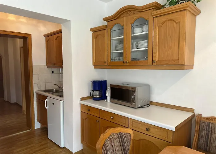 Ammoniten Blick - Gustav Gapp