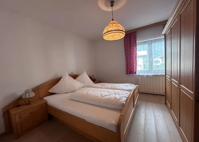 Ammoniten Blick - Gustav Gapp *