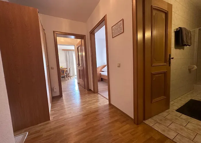 Ammoniten Blick - Gustav Gapp *