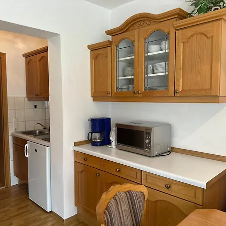 Ammoniten Blick - Gustav Gapp