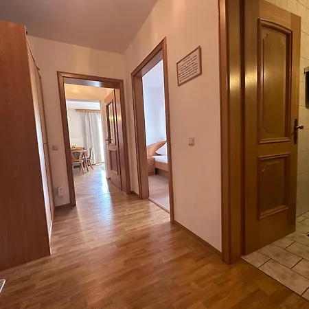 Ammoniten Blick - Gustav Gapp *