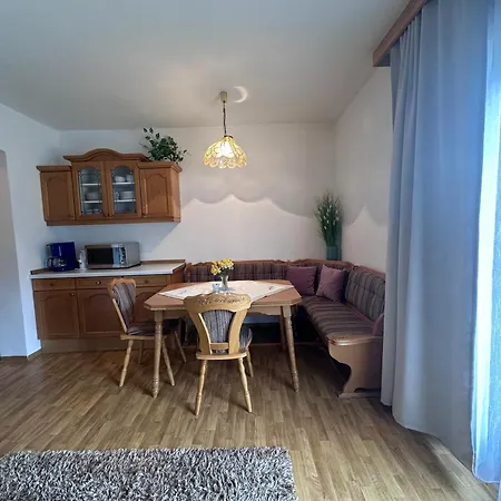 Ammoniten Blick - Gustav Gapp