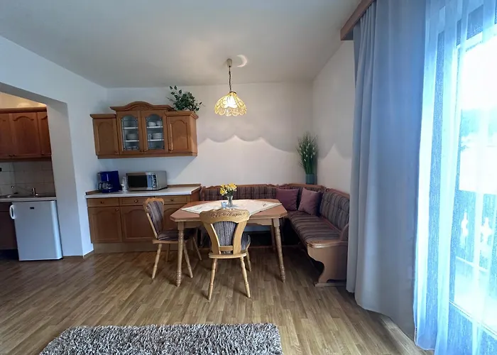 Ammoniten Blick - Gustav Gapp